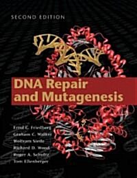 DNA Repair and Mutagenesis (Hardcover, 2)
