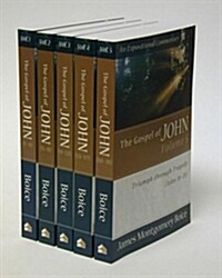 The Gospel of John (Paperback)