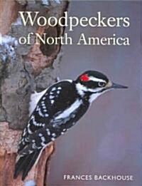 Woodpeckers of North America (Hardcover)