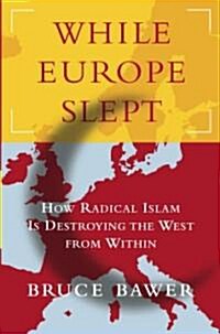 While Europe Slept (Hardcover)