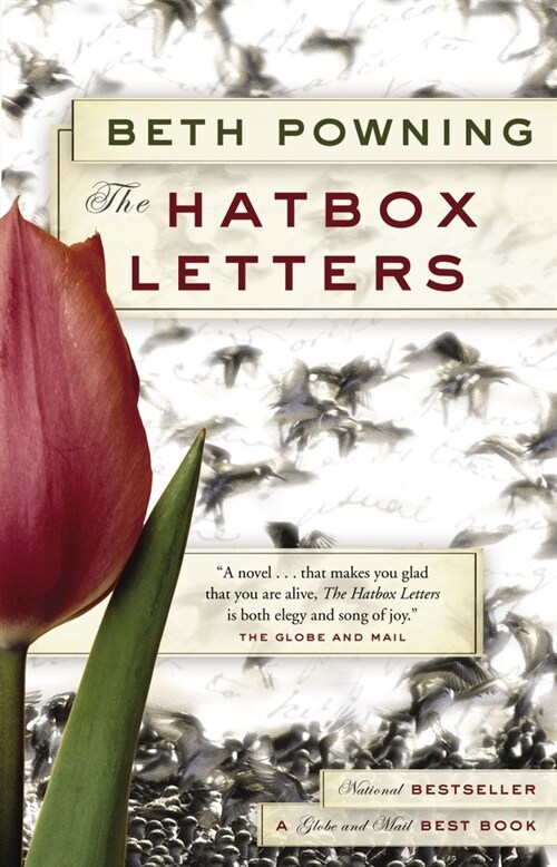 The Hatbox Letters (Paperback)