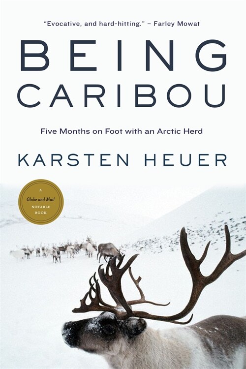 Being Caribou: Five Months on Foot with an Arctic Herd (Paperback)