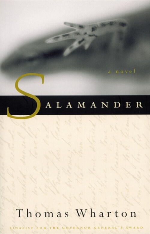 Salamander (Paperback)