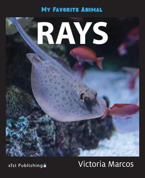 My Favorite Animal: Rays (Paperback)