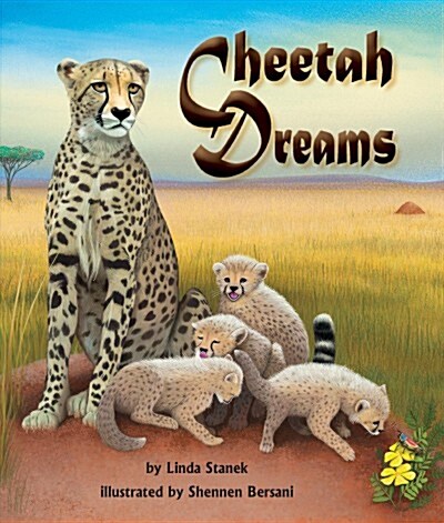 Cheetah Dreams (Paperback)