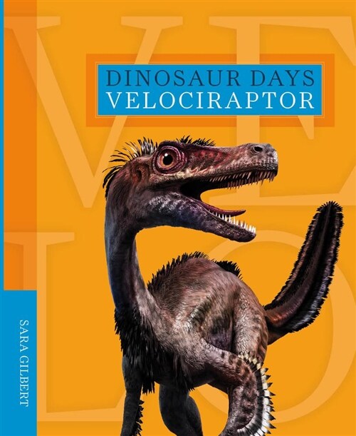 Velociraptor (Paperback)