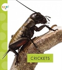 Crickets (Paperback)