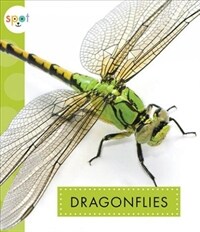 Dragonflies (Paperback)