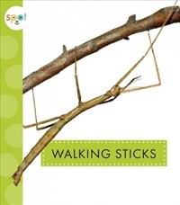Walking Sticks (Paperback)