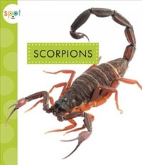 Scorpions (Paperback)