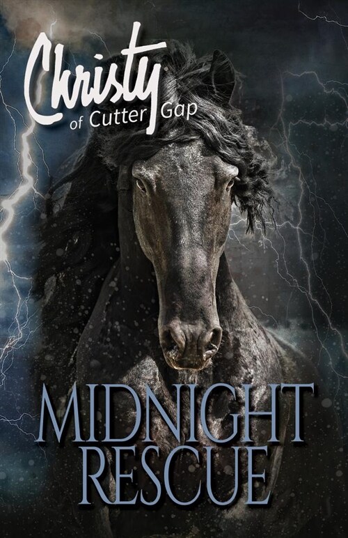 Midnight Rescue (Paperback)