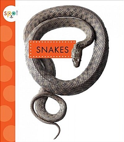 Snakes (Paperback)