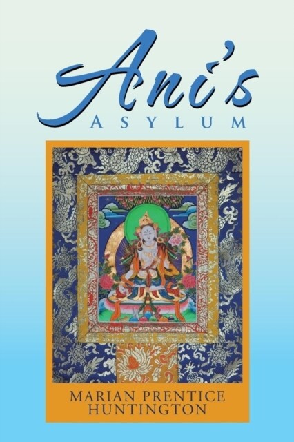 Anis Asylum (Paperback)