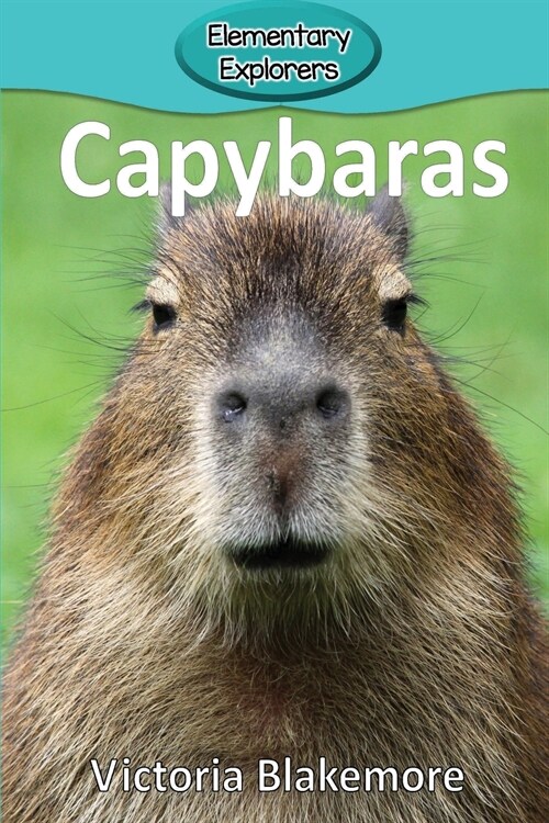 Capybaras (Paperback)