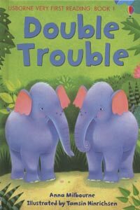 Double Trouble (Hardcover)