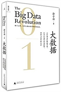 大數据:正在到來的數据革命,以及它如何改變政府、商業與我們的生活 (平裝, 第2版)