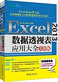 Excel 2013數据透视表應用大全(全彩版) (平裝, 第1版)