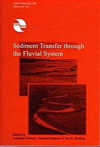 Sediment Transfer Through the Fluvial System (Paperback)