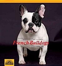 French Bulldogs (Hardcover)