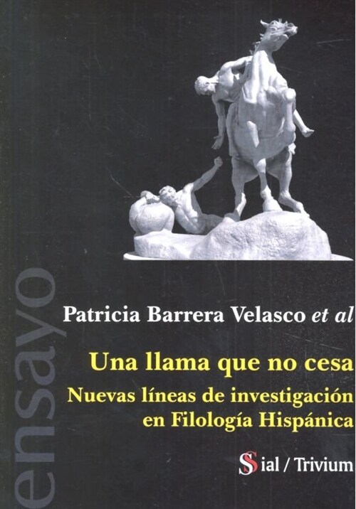 UNA LLAMA QUE NO CESA (Paperback)