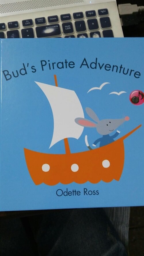 [중고] Bud‘s Pirate Adventure (Paperback)