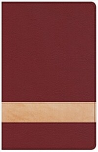 CSB Large Print Personal Size Reference Bible, Crimson/Tan Leathertouch, Indexed (Imitation Leather)