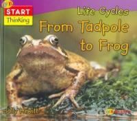 Life Cycles (Library) - From Tadpole to Frog