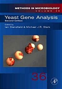 Yeast Gene Analysis: Volume 36 (Hardcover, 2)