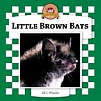 Little Brown Bats (Library Binding, Anniversary)