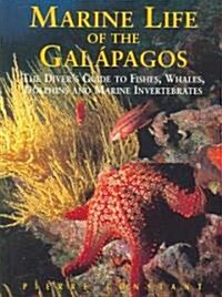 Marine Life of the Galapagos: The Divers Guide to Fishes, Whales, Dolphins and Marine Invertebrates (Paperback, 2)