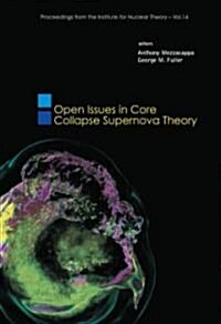 Open Issues in Core Collapse Supernova Theory (Hardcover)