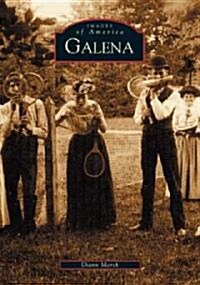 Galena, Illinois (Paperback)