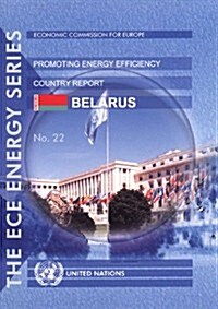 Experience of International Organizations in Promoting Energy Efficiency (Paperback)