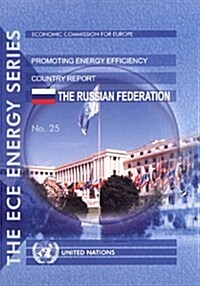 Experience of International Organizations in Promoting Energy Efficiency (Paperback)
