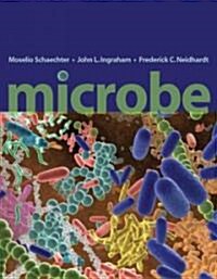 [중고] Microbe (Paperback)