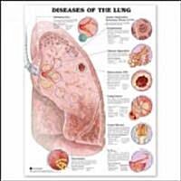 Diseases of the Lung Anatomical Chart (Other, First)
