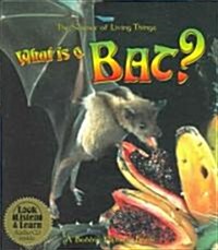 What Is a Bat? [With CD] (Paperback)