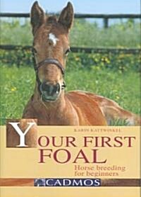 Your First Foal (Hardcover, Illustrated)