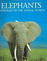 Elephants (Hardcover)