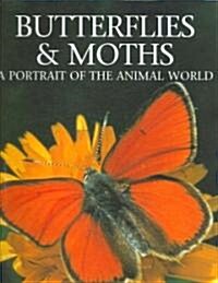 Butterflies & Moths (Hardcover)