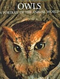 Owls (Hardcover)