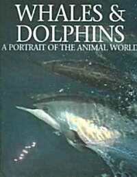 Whales & Dolphins (Hardcover)