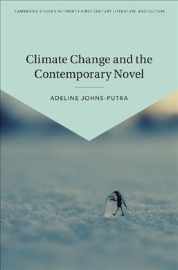 Climate Change and the Contemporary Novel (Hardcover)