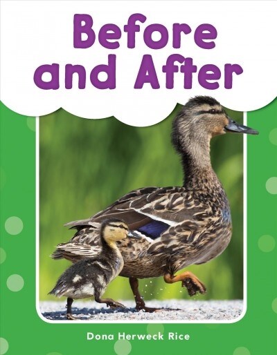 Before and After (Paperback)