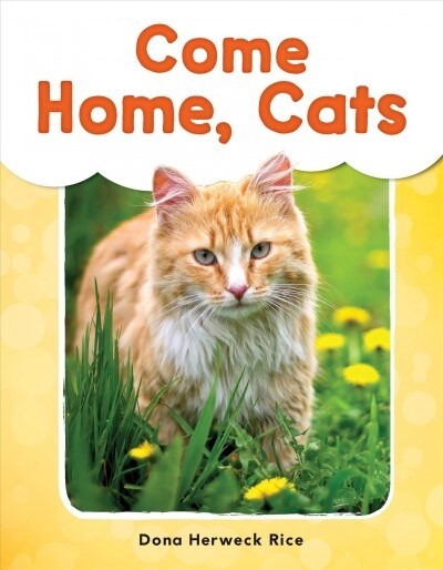 Come Home, Cats (Paperback)