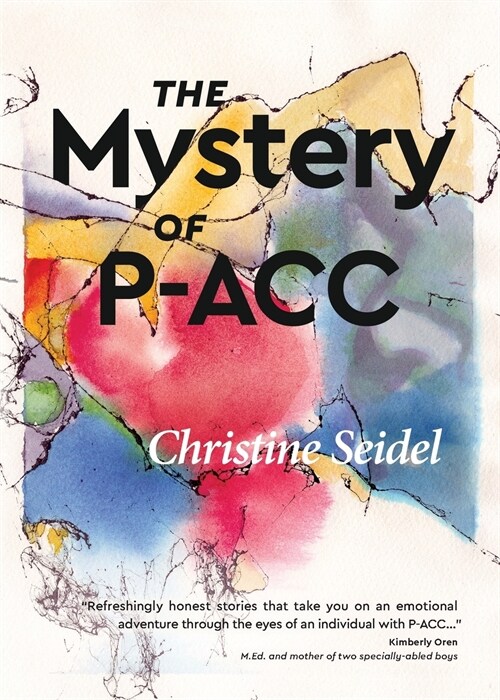 The Mystery of P-Acc (Paperback)