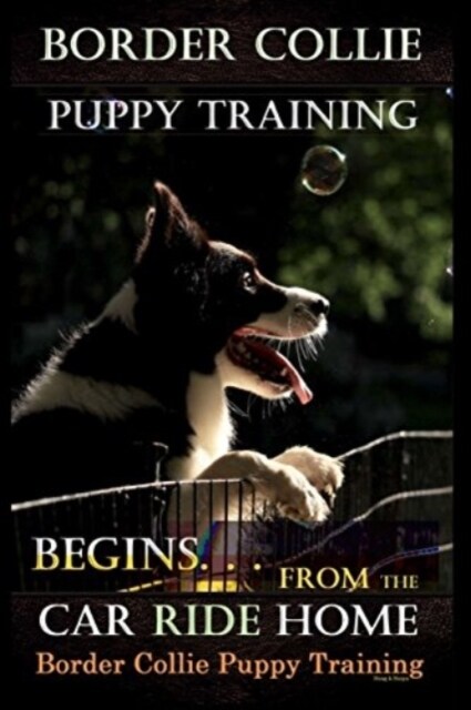 Border Collie Puppy Training Begins. . . from the Car Ride Home: Border Collie Puppy Training (Paperback)