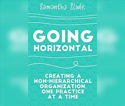 Going Horizontal: Creating a Non-Hierarchical Organization, One Practice at a Time (Audio CD)