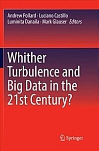 Whither Turbulence and Big Data in the 21st Century? (Paperback)