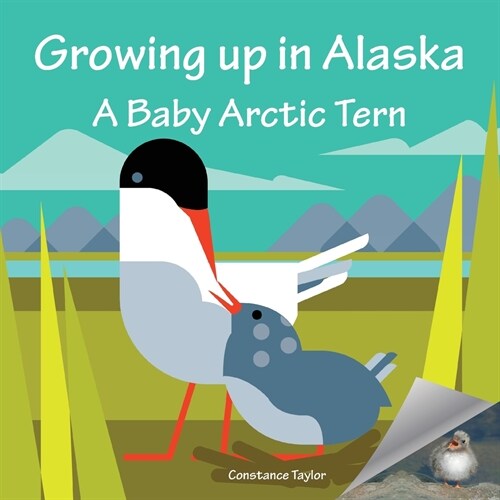 Growing Up in Alaska: A Baby Arctic Tern (Paperback)